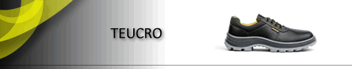 TEUCRO